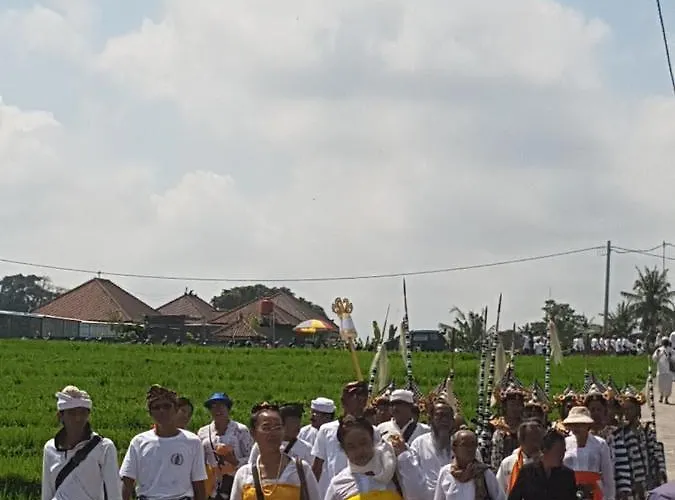 Yogi Villa *